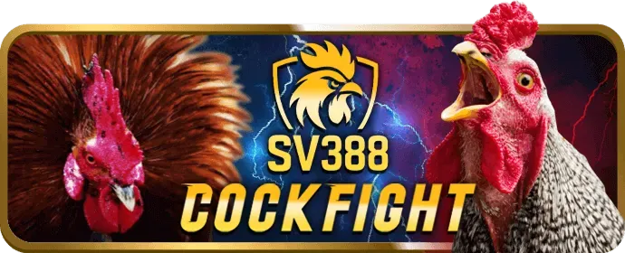 Cá cược di động 35win App